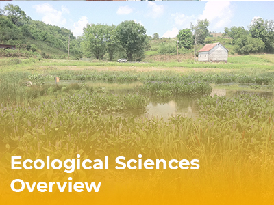 Ecological Overview