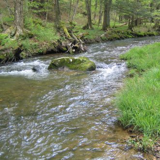 river