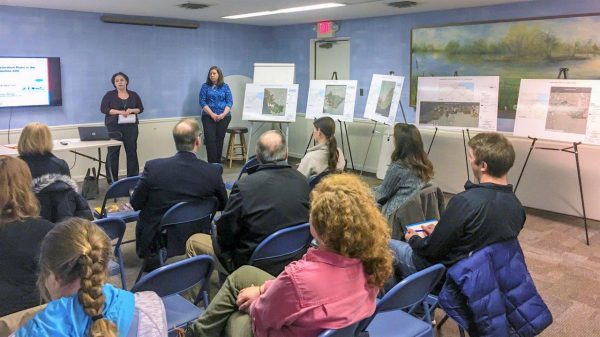 Deanna Bobak (standing, in blue) presents at a public meeting