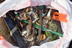 CEC Boston takes part in the 2020 Neponset River Fall Cleanup.
